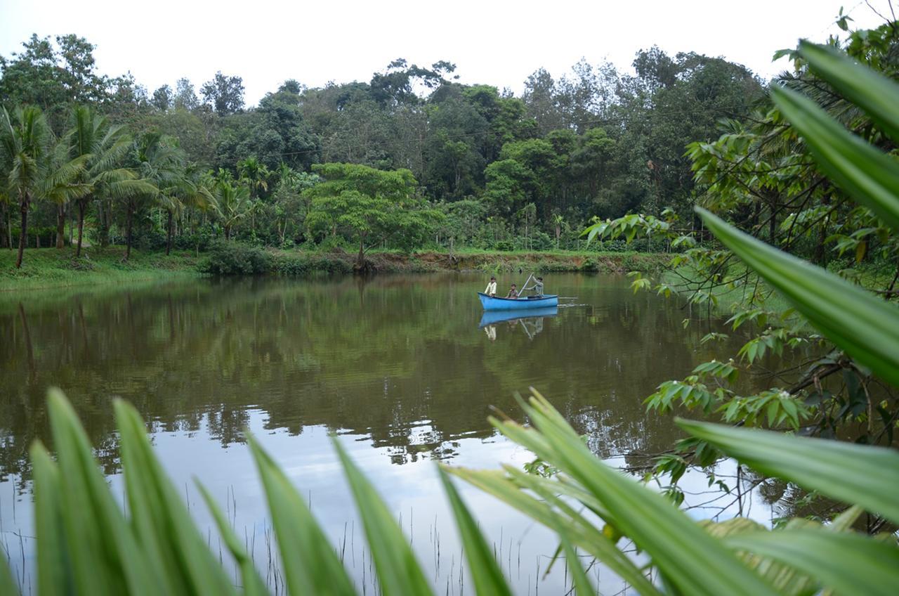 Leisure Homestay - Pool, Boating, Zipline, Home Food, Estate Chikmagalur Ngoại thất bức ảnh